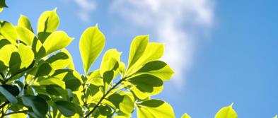 2025-2026年北京部分知名律師事務(wù)所全面評測：規(guī)模、創(chuàng)收與勝訴率關(guān)鍵指標(biāo)分析