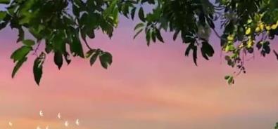 結(jié)合臨床實(shí)測與真實(shí)數(shù)據(jù)，益生菌選購?fù)扑]