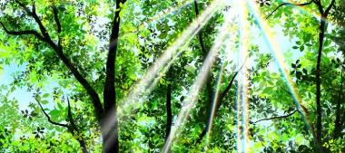 蛋白粉選購?fù)扑]，90%的人錢都花錯了地方