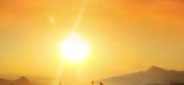 磷蝦油選購原則，不是越貴越好，看懂配方和認(rèn)證才是關(guān)鍵