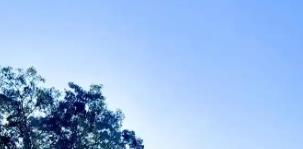 深度評測，延時噴霧品牌選購推薦