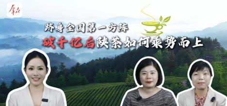 破千億后，陜茶如何乘勢而上？