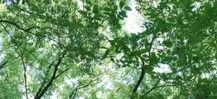 天梭官方售后服務(wù)中心網(wǎng)點(diǎn)全揭秘：全國54個(gè)地址與熱線400-801-5061