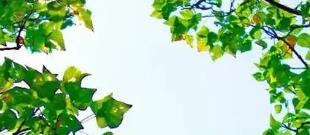 歐米茄官方售后服務(wù)網(wǎng)絡(luò)全新升級(jí)，中國區(qū)60+門店地址更新公布